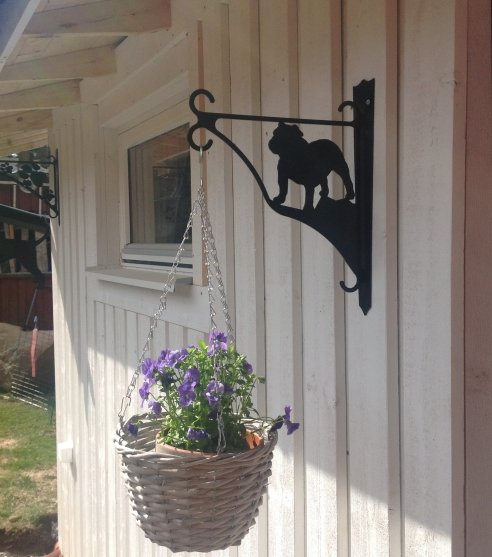 Ampelhållare/blomkrukehängare Engelsk Bulldog