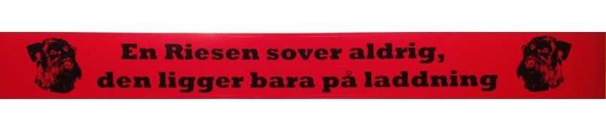 Bildekal En Riesen sover aldrig....