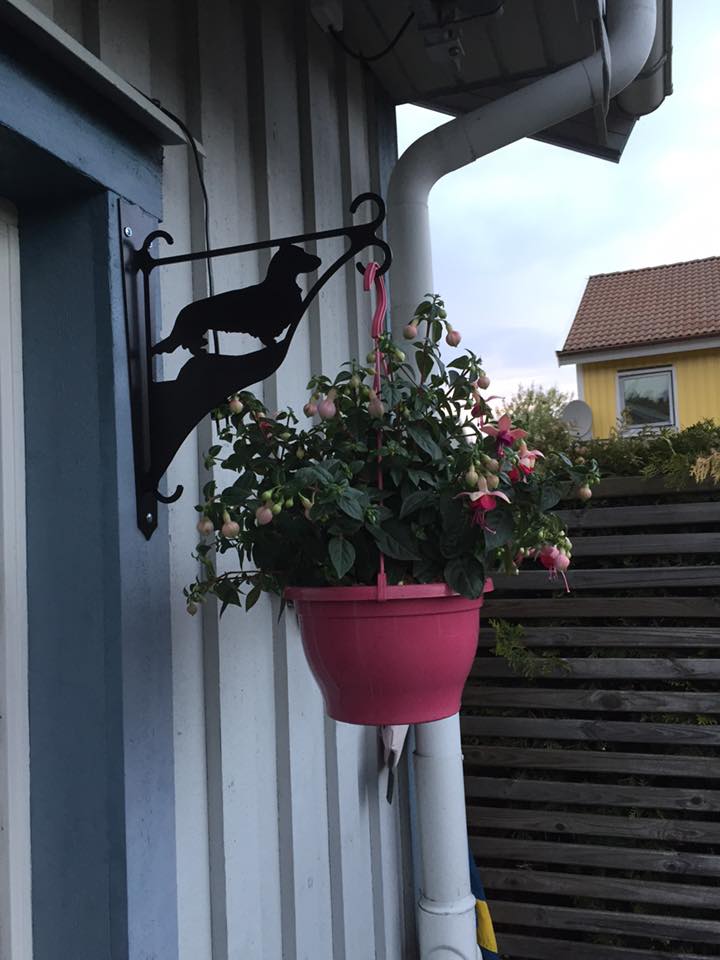 Ampelhållare/blomkrukehängare Långhårig Tax