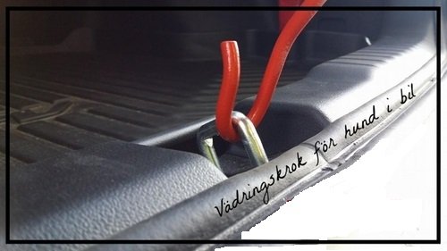 Vädringskrok för baklucka 20 cm