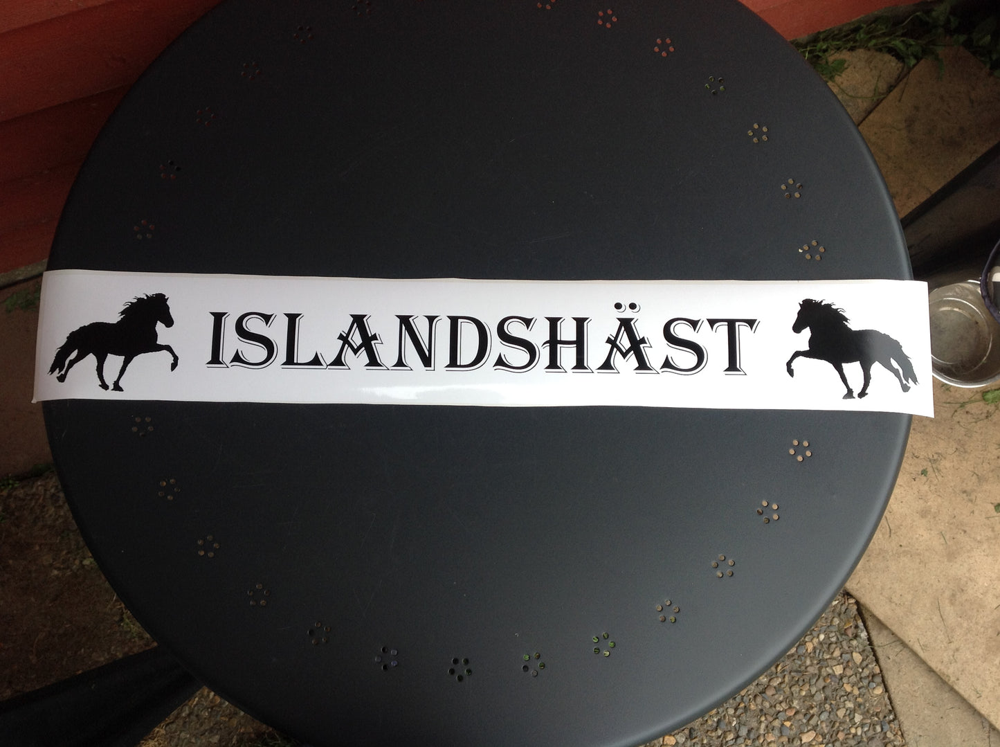 Bakrutedekal Islandshäst
