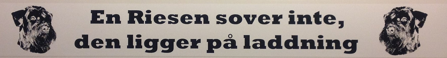 Bildekal En Riesen sover inte.....
