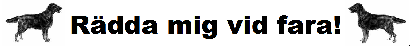 Dekal Text "Rädda mig vid fara! + Flatcoated Retriever bild
