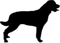 2-pack Rödvinsglas / Allglas med hundmotiv