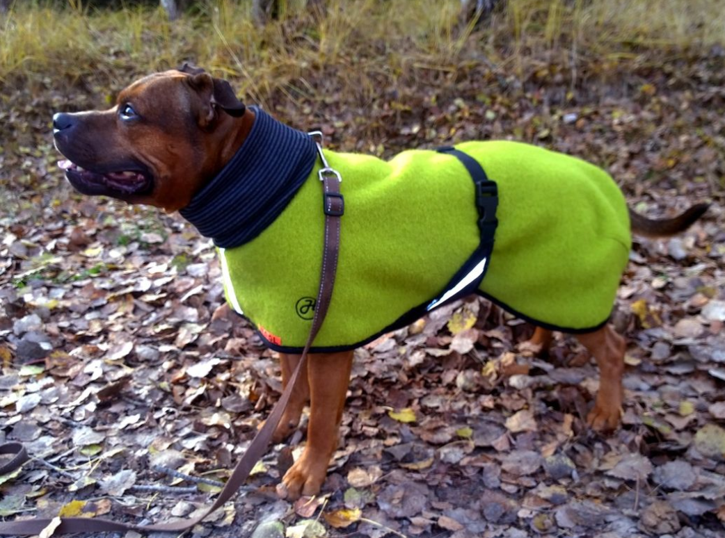 Ulltäcke för hund "Helsitar"