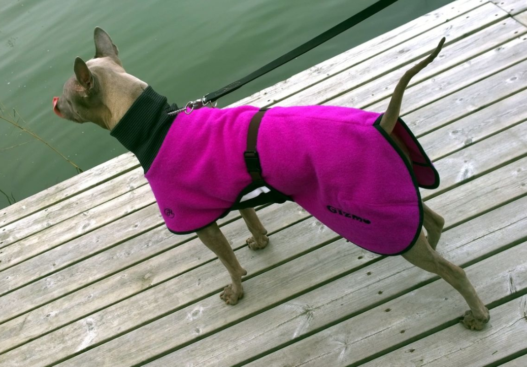 Ulltäcke för hund "Helsitar"