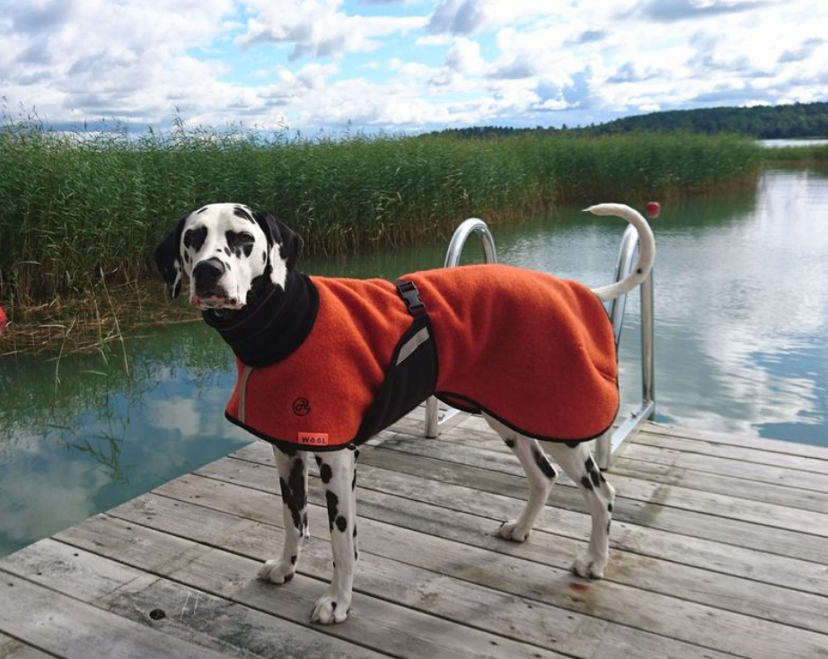 Ulltäcke för hund "Helsitar"