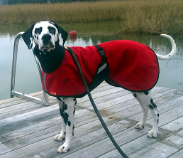Ulltäcke för hund "Helsitar"