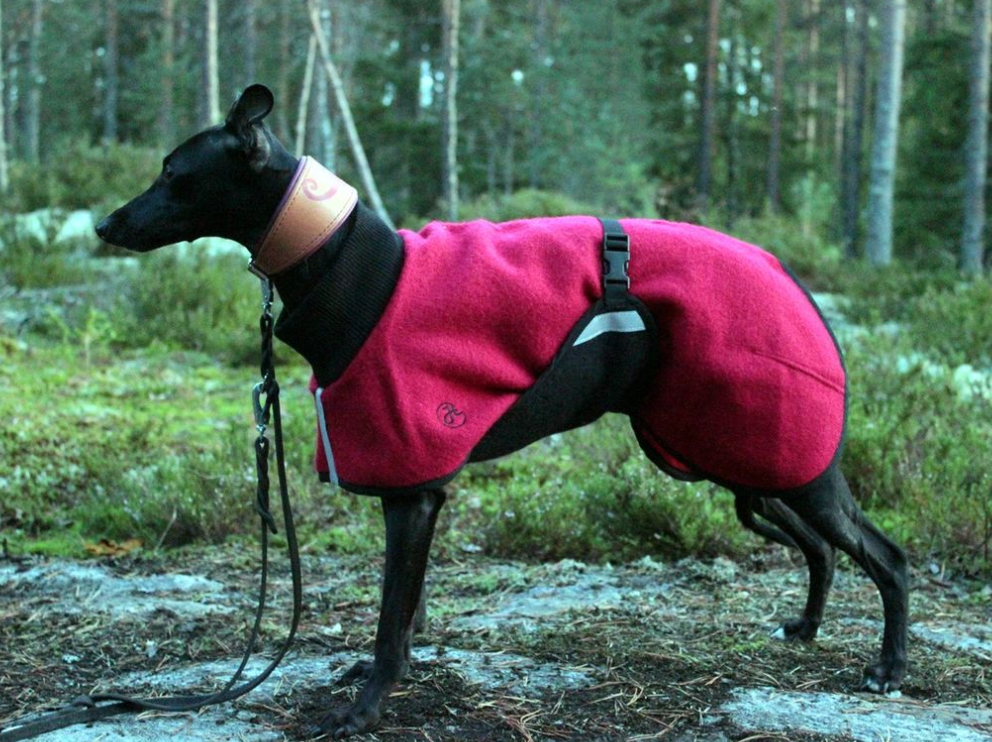Ulltäcke för hund "Helsitar"
