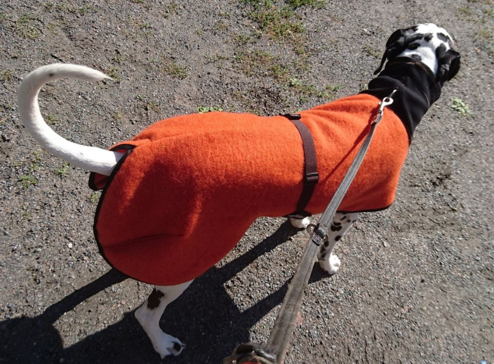 Ulltäcke för hund "Helsitar"