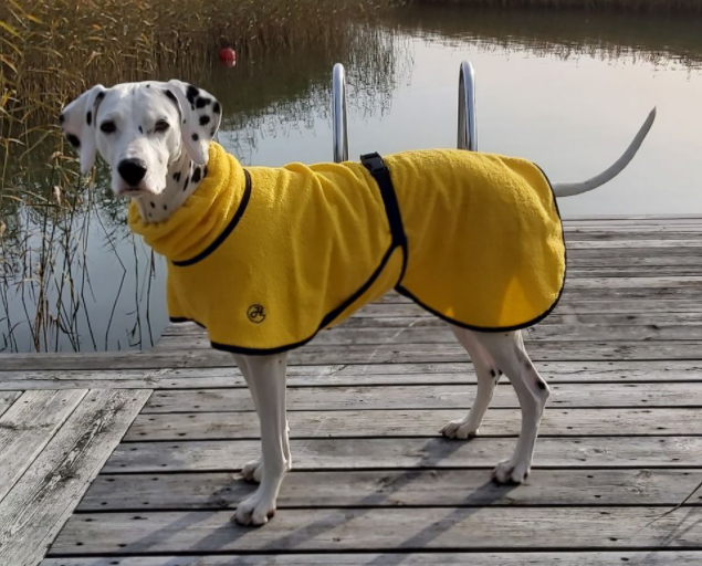 Frottétäcke för hund