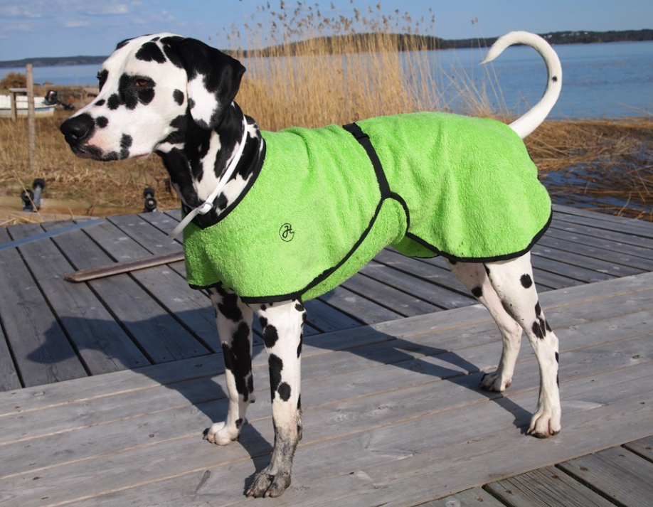 Frottétäcke för hund