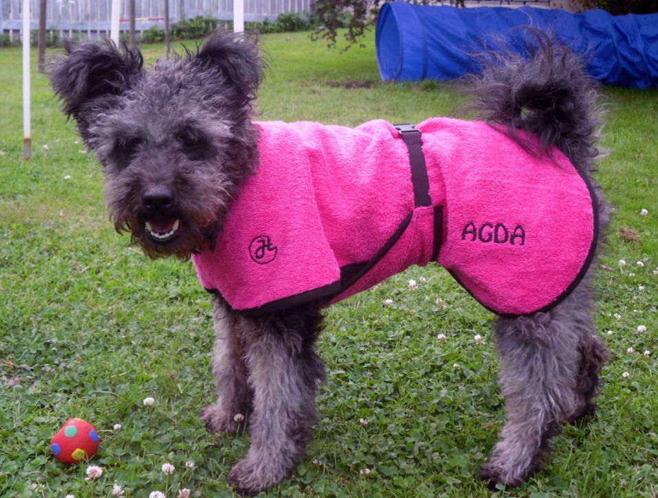 Frottétäcke för hund