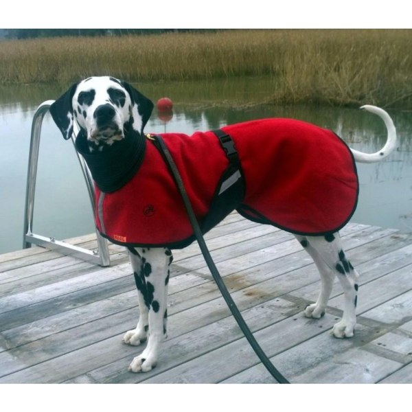 Ulltäcke för hund "Helsitar"