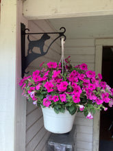 Load image into Gallery viewer, Ampelhållare/blomkrukehängare  Beagle