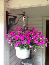 Load image into Gallery viewer, Ampelhållare/blomkrukehängare  Fransk Bulldog