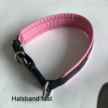 Load image into Gallery viewer, Vadderat halsband bredd 40 mm med namnbrodyr