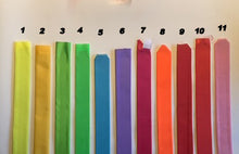 Load image into Gallery viewer, Vadderat halsband bredd 40 mm med namnbrodyr