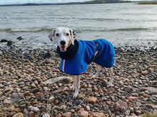 Laden Sie das Bild in den Galerie-Viewer, Willis Ulltäcke för hund "Helsitar"