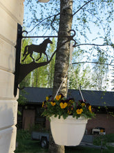 Load image into Gallery viewer, Ampelhållare motiv Häst