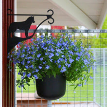 Load image into Gallery viewer, Ampelhållare/blomkrukehängare  Siberian Husky