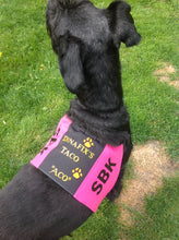 Load image into Gallery viewer, Tjänstetecken med valfri broderad text