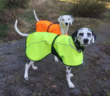 Neon Softshell täcke för hunden