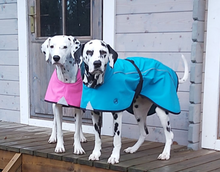 Load image into Gallery viewer, Neon Softshell täcke för hunden