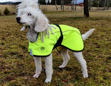Neon Softshell täcke för hunden