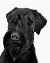 Indlæs billede til gallerivisning Porslinsmuggar med motiv Hundmotiv