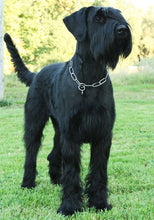 Indlæs billede til gallerivisning Porslinsmuggar med motiv Hundmotiv