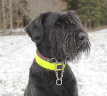 Indlæs billede til gallerivisning Porslinsmuggar med motiv Hundmotiv