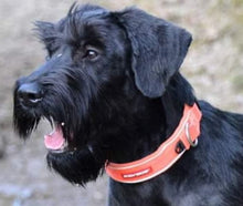 Indlæs billede til gallerivisning Porslinsmuggar med motiv Hundmotiv