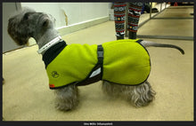 Load image into Gallery viewer, Ulltäcke för hund "Helsitar"