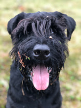 Indlæs billede til gallerivisning Porslinsmuggar med motiv Hundmotiv