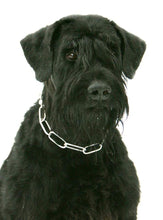 Indlæs billede til gallerivisning Porslinsmuggar med motiv Hundmotiv