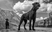 Indlæs billede til gallerivisning Porslinsmuggar med motiv Hundmotiv