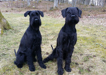 Indlæs billede til gallerivisning Porslinsmuggar med motiv Hundmotiv