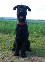 Indlæs billede til gallerivisning Porslinsmuggar med motiv Hundmotiv