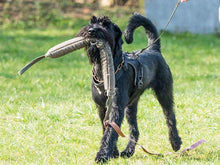 Indlæs billede til gallerivisning Porslinsmuggar med motiv Hundmotiv