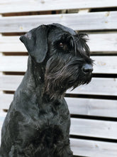 Indlæs billede til gallerivisning Porslinsmuggar med motiv Hundmotiv