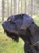 Indlæs billede til gallerivisning Porslinsmuggar med motiv Hundmotiv