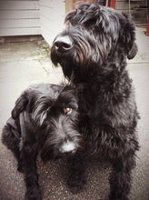 Indlæs billede til gallerivisning Porslinsmuggar med motiv Hundmotiv