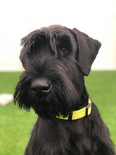 Indlæs billede til gallerivisning Porslinsmuggar med motiv Hundmotiv