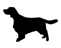 Load image into Gallery viewer, 2-pack Rödvinsglas / Allglas med hundmotiv