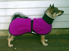 Load image into Gallery viewer, Ulltäcke för hund "Helsitar"