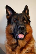 Indlæs billede til gallerivisning Porslinsmuggar med motiv Hundmotiv