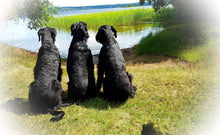 Indlæs billede til gallerivisning Porslinsmuggar med motiv Hundmotiv