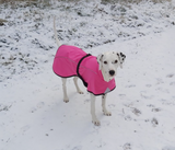 Neon Softshell täcke för hunden